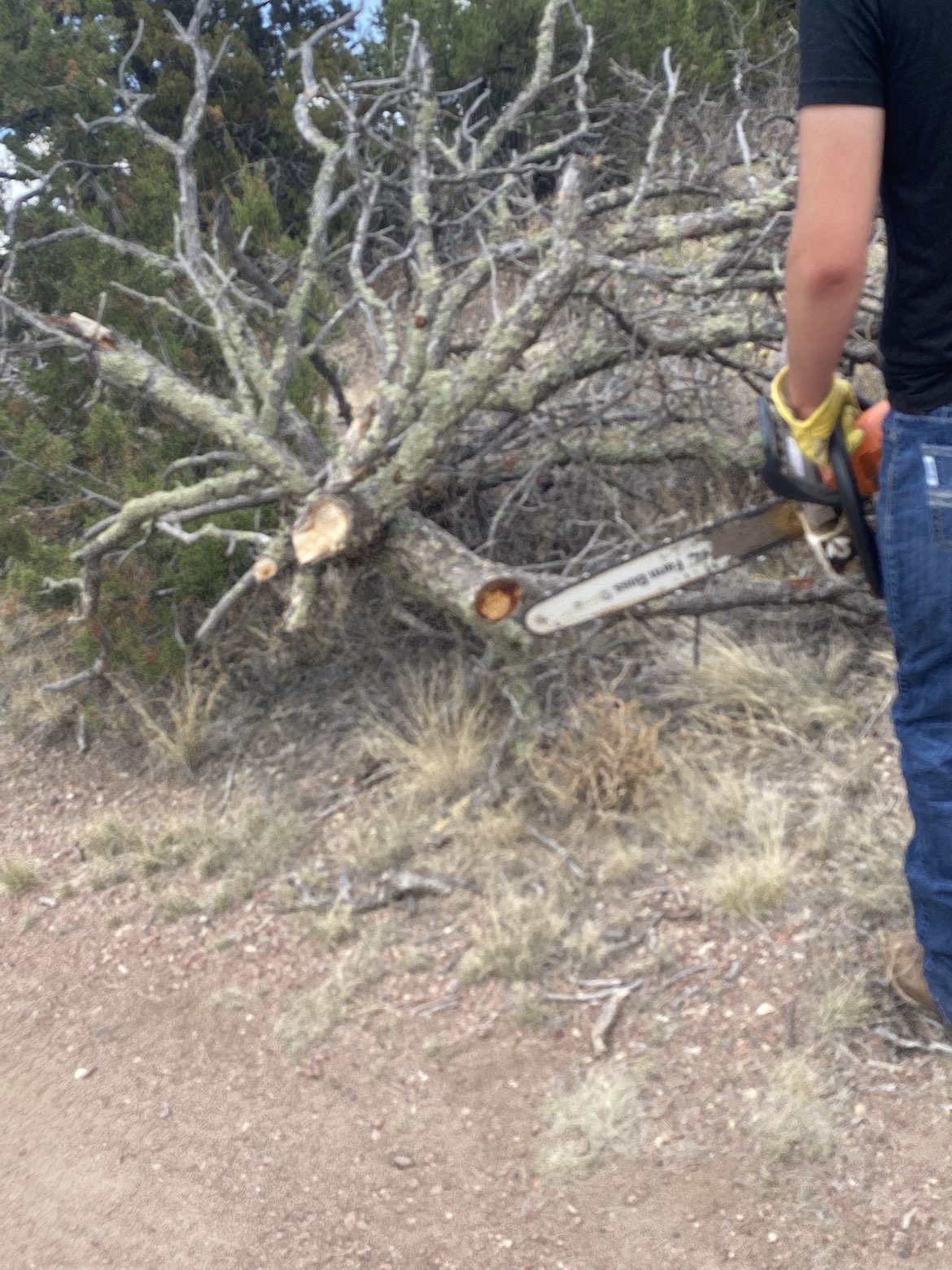 8 Mile Property & Land Management project photo