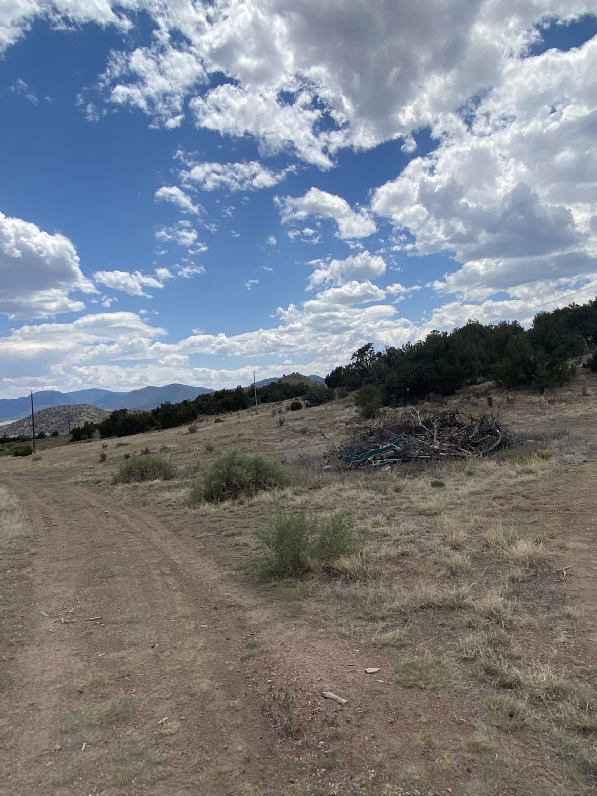 8 Mile Property & Land Management project photo