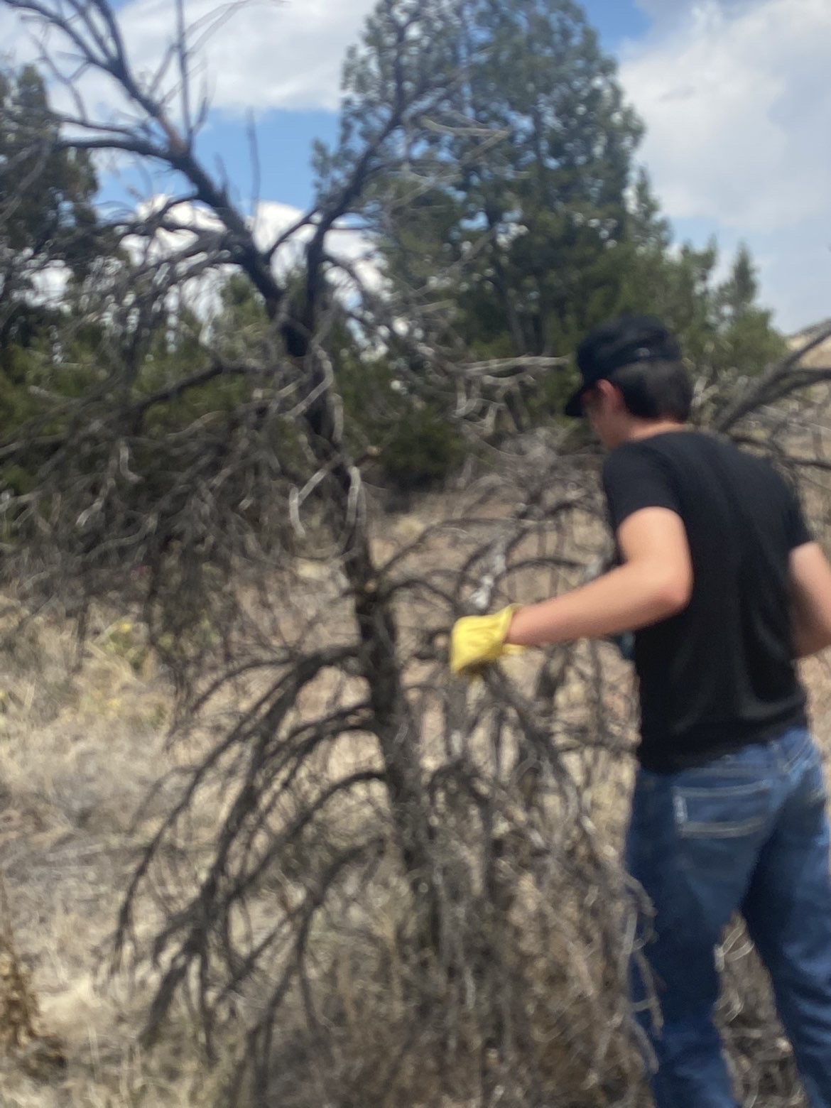 8 Mile Property & Land Management project photo