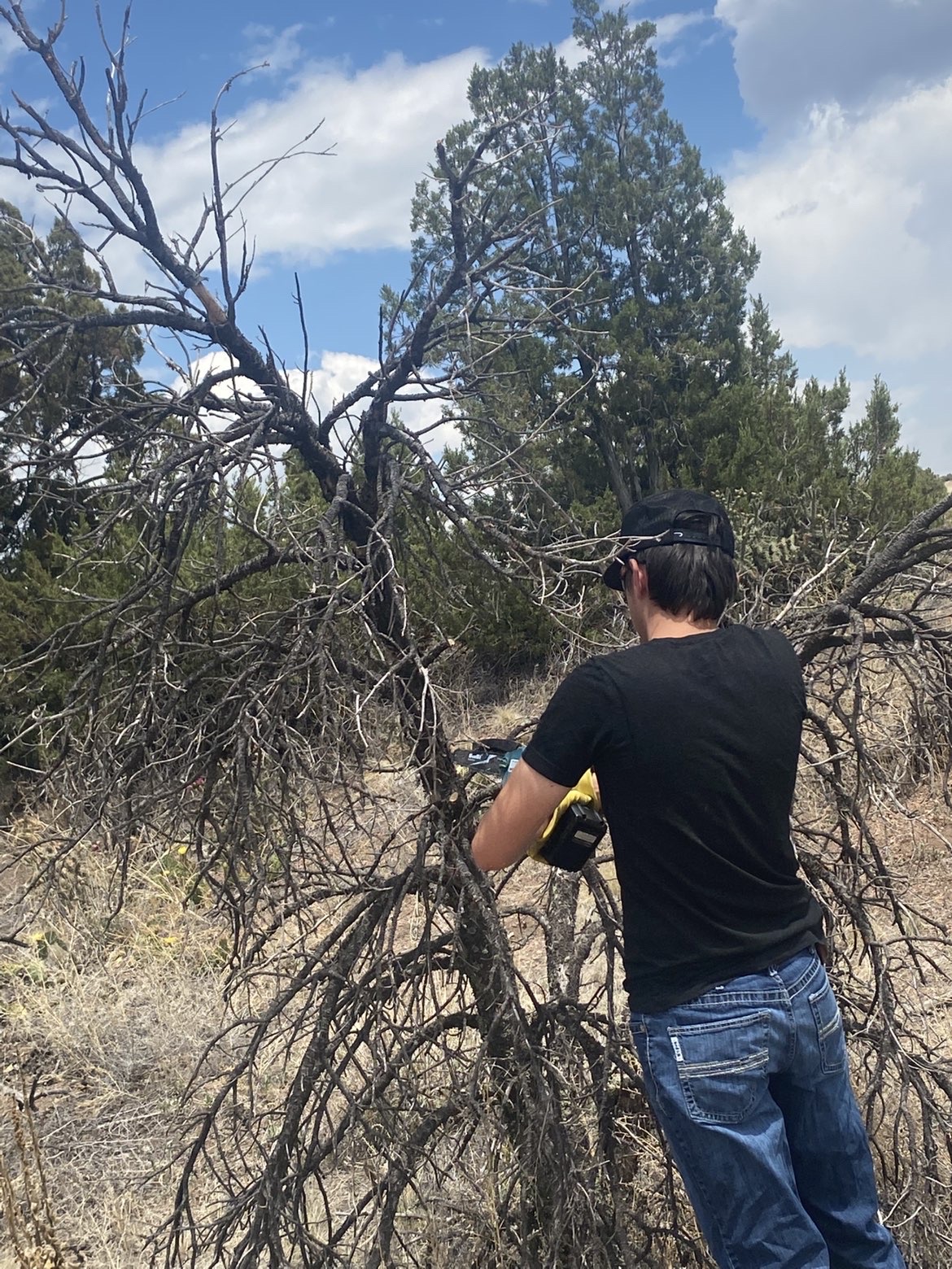 8 Mile Property & Land Management project photo