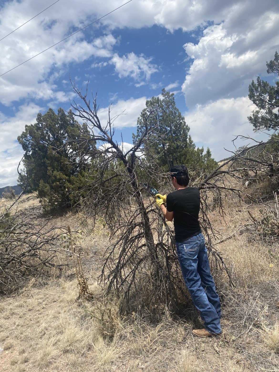 8 Mile Property & Land Management project photo