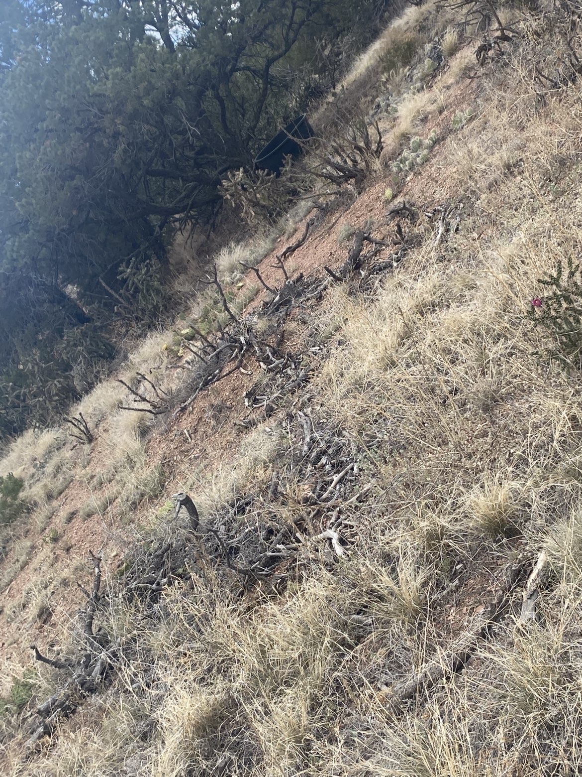 8 Mile Property & Land Management project photo