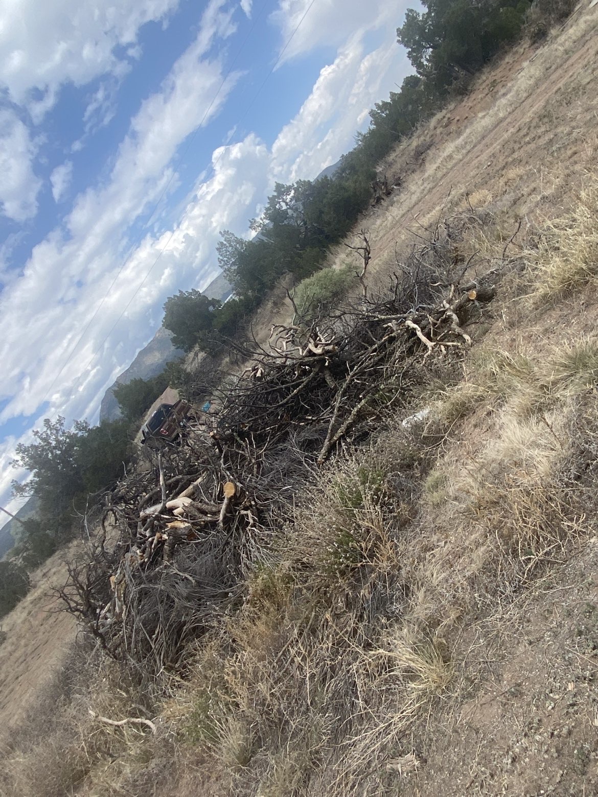 8 Mile Property & Land Management project photo