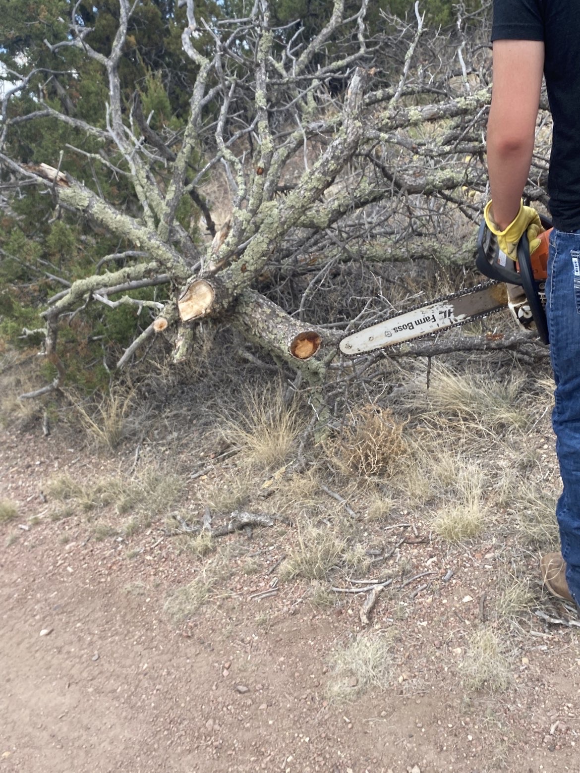 8 Mile Property & Land Management project photo