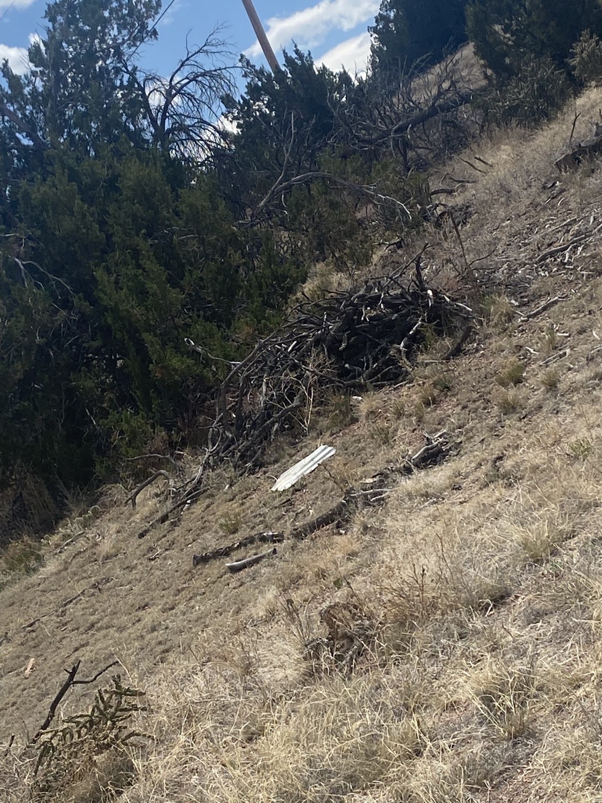 8 Mile Property & Land Management project photo