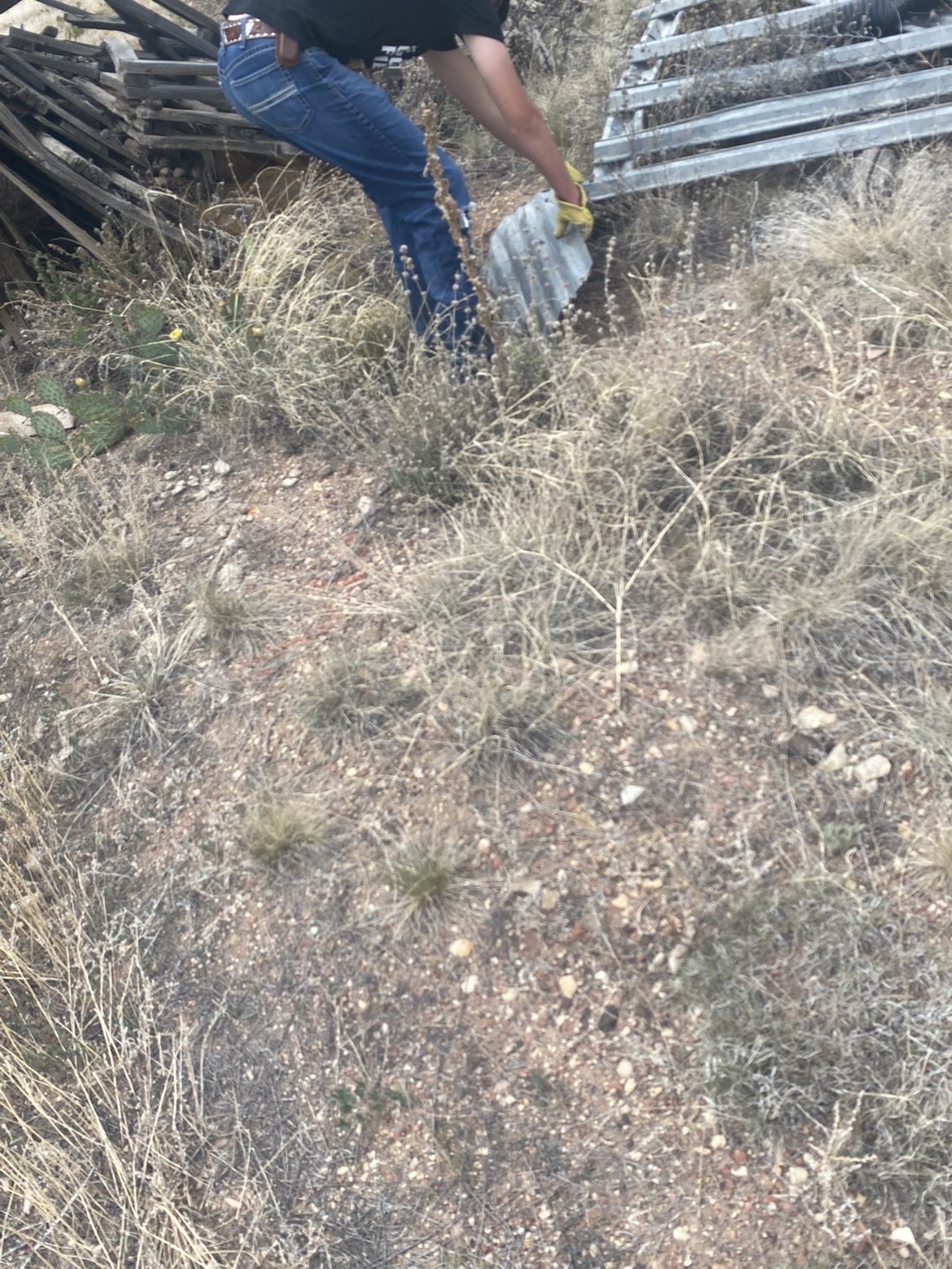 8 Mile Property & Land Management project photo