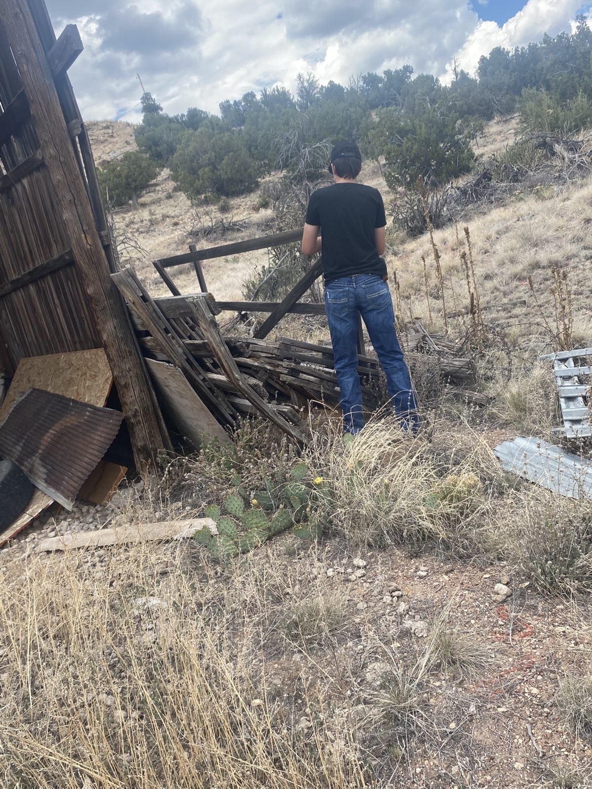 8 Mile Property & Land Management project photo